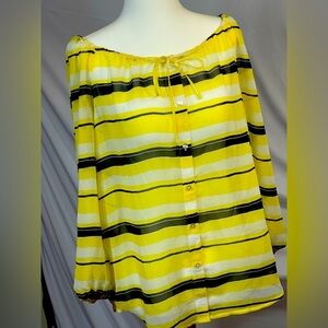 Ann Taylor Women’s Chiffon button up blouse size LP